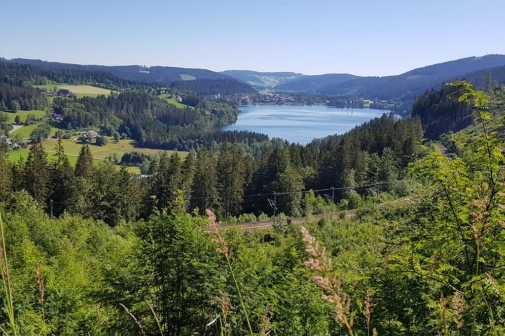 Black Forest Schwarzwaldblick Indoorpool Natur Ruhe Komfort Apartment Hoechenschwand Exterior photo