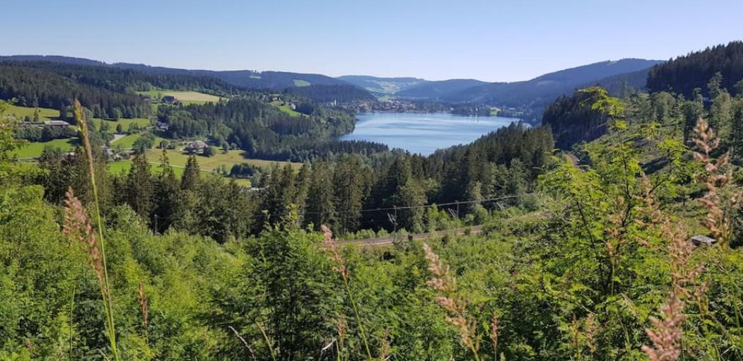 Black Forest Schwarzwaldblick Indoorpool Natur Ruhe Komfort Apartment Hoechenschwand Exterior photo